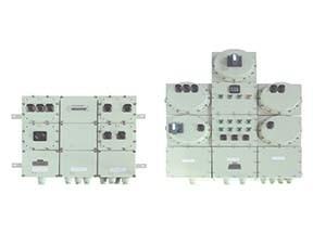 BX□G52系列防爆照明（动力）配电箱（ⅡB、DIPA20）2.jpg